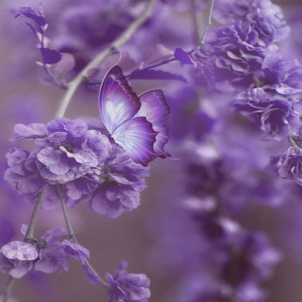 Meet your Posher, jamie_m